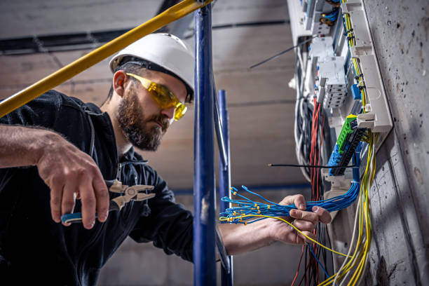 Best Generator Installation Services  in Charlevoix, MI