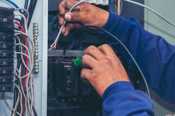 Best Electrical Repair Services  in Charlevoix, MI