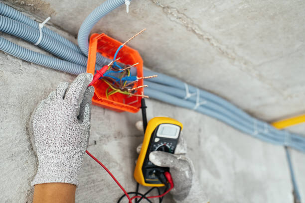 Best 24-Hour Electrician  in Charlevoix, MI